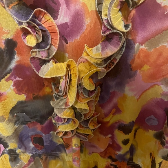 Sunny Leigh Multicolor Ruffled Blouse - Picture 3 of 4
